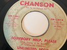Unlimited Four- Somebody Help / True Love Is Hard To Find* Chanson RARE