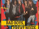GUNS N’ ROSES “BAD BOYS GREAT NOIZE”  LIVE 2LP VINYL RECORD SET