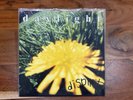 Daylight “Dispirit” 7” EP Superheaven Grunge Rock Shoehaze