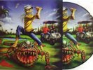 IRON MAIDEN FLORIDA PICTURE DISC