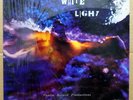 WHITE LIGHT s/t ORIGINAL Private 1970 GARAGE PSYCH GRAIL LP CENTURY LP In Shrink