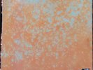 Michael Franks Sleeping Gypsy FRENCH PRESSING NEAR MINT WEA Vinyl LP