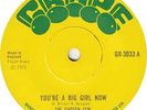 The Chosen Few - You're A Big Girl Now (7