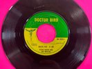 Peter Touch and The Wailers - 