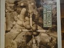 Dub Syndicate Stoned Immaculate, Rare French Pressing Vinyl Lp Good Conditon