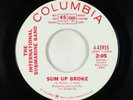 Garage 45 - International Submarine Band - Sum Up Broke - Columbia
