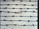 dies irae - first ( D  1971 ) Vinyl LP reissue- black Vinyl