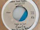RARE UNREL. ACETATE  CARLO MASTRANGELO (Belmonts) 1960s. Doo Wop / Teen / gaRage
