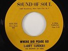 Larry Sanders 
