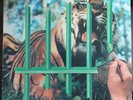 Tygers Of Pan Tang The Cage NEAR MINT MCA Records Vinyl LP