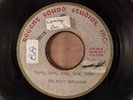 The Music Explosion Love, Love, Love, Love, Love Rare 1 Sided Acetate Garage