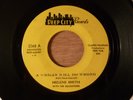 Helene Smith A Woman Will Do Wrong/Like A Baby Deep Soul 1966 Deep City Records