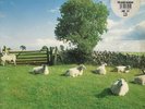 The KLF - Chill Out (LP) (1st Pressing) (VG-/VG-)