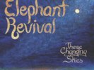 Elephant Revival - These Changing Skies-  Vinyl LP - NEW & SEALED