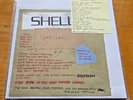 Shellac ‎– The Bird Is The Most Popular Finger - Vinyl 7