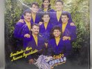 GRUPO PEGASSO