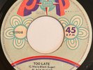 BLACK SUGAR Too Late/Viajecito PERU LATIN SOUL FUNK 45 *hear*