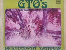 GTO's ‎– Permanent Damage White Label PROMO LP 1969 Straight Bizarre Psych Zappa