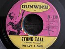 The Luv’d Ones Stand Tall Come Back Dunwich Rare Girl Garage 45