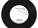 HOPETON LEWIS / HARDSHIPS OF LIFE / LET ME COME ON HOME / 7''