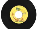 KEN BOOTHE / MR. TAMBOURINE  MAN / DELROY WILSON / I'M GONNA GET YOU / 7''