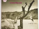 Tonton Macoute - Selftitled - Original UK RCA Gatefold LP - NE4 Great Copy