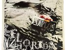 Diplo - Florida - 2 Vinyls 11 Songs LP Record (2004) with Insert