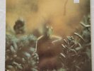 STEELY DAN - Katy Lied LP 1975 ORIGINAL Pressing ABC Records ABCD 846 Excellent