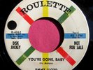 JIMMY LLOYD -You're Gone Baby / Got a Rocket in My Pocket - 45 rpm Roulette 4062