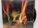 Echo And The Bunnymen - Crocodiles - 1980 US 1st Press (NM) Ultrasonic Clean