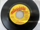 FUNK 45 RPM RECORD - LATTIMORE BROWN - Sweet Desiree/ I Will on RENEGADE 1201