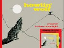Howlin' Wolf Moanin' In The Moonlight