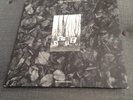 Flux Of Pink Indians - Strive To Survive LP (Punk/Rock/Hardcore/Crass) 1982