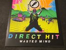 Direct Hit – Wasted Mind LP Blue/Red Swirl Vinyl Fat Wreck Dopamines Copyrights