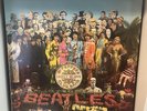 The Beatles Sgt Pepper’s Lonely Hearts Club Band 2014 German Mono Vinyl LP