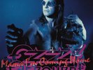Ozzy Osbourne - Mama I'm Coming Home, 7