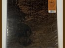 Agalloch – Of Stone, Wind & Pillor LP On Liquid Amber Color Vinyl Ambient Metal
