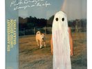 Phoebe Bridgers - Stranger In The Alps (5 Year Anniversary) Galaxy Vinyl LP RARE