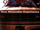 New Miserable Experience by Gin Blossoms (Vinyl LP Record, 2017) BRAND NEW