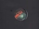 Paul van Dyk We Are Alive Vinyl Single 12inch Vandit Records