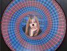 PINKPANTHERESS Fancy That Zoetrope Picture Disc LP Blood Records Hand Numbered
