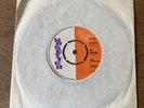 Reggae The Bleechers / The Upsetters – Check Him Out / The Vampire US 317