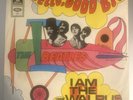 The Beatles Picture Sleeve/45 Hello Goodbye Germany Odeon O 23660 Airplane Cover
