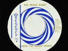Funk Psych 45 - Peace Band - I Think I'm Going Down - Regency - obscure