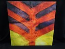 Yeah Yeah Yeahs – Show Your Bones - NM/EX