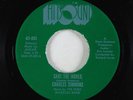 Funk 45 - Charles Simmons - Save The World - Hitsound VG++