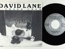 Funk Boogie/Modern Soul 45 - David Lane - You Gave Me Love - Ill Lane NM