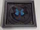 Evanescence - Fallen 20th Anniversary Limited Edition Deluxe Vinyl Box Set NEW