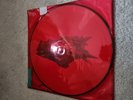 ALICE IN CHAINS - The Devil Put Dinosaurs Here - 2 LP - 180g-PICTURE DISC vinyl