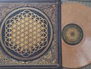 Bring Me The Horizon Sempiternal Brown Marble Vinyl